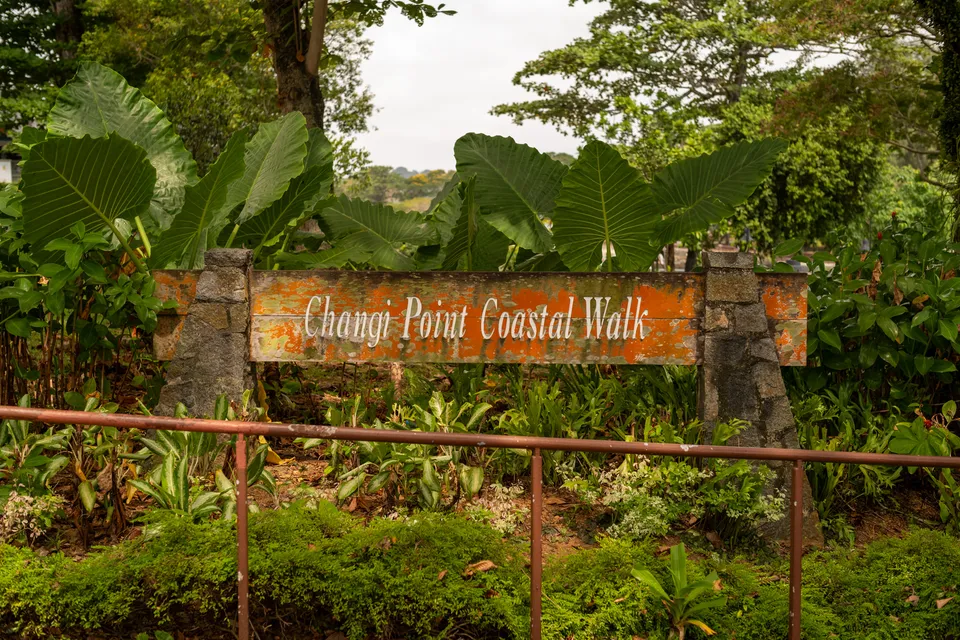 Photowalk: Changi Village section image