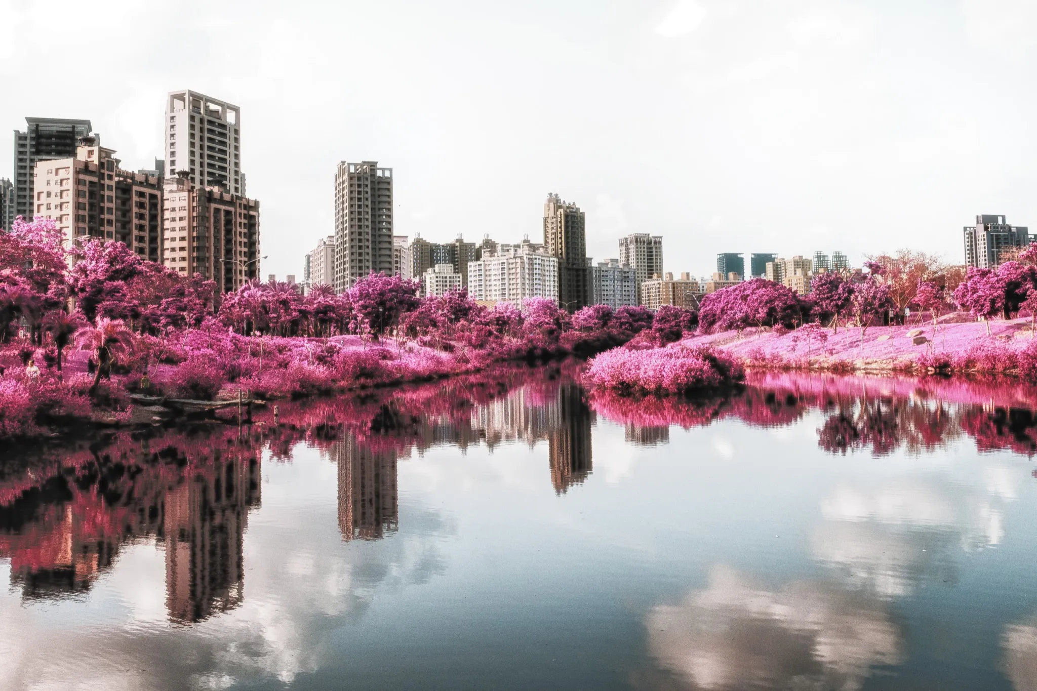 Photo - Pink Urban