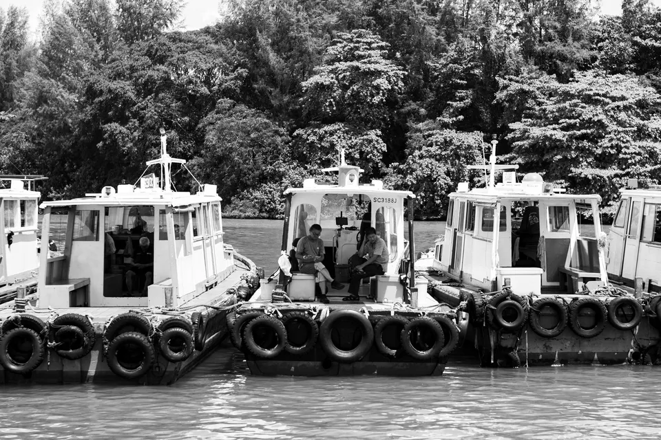 Photo - Bumboats