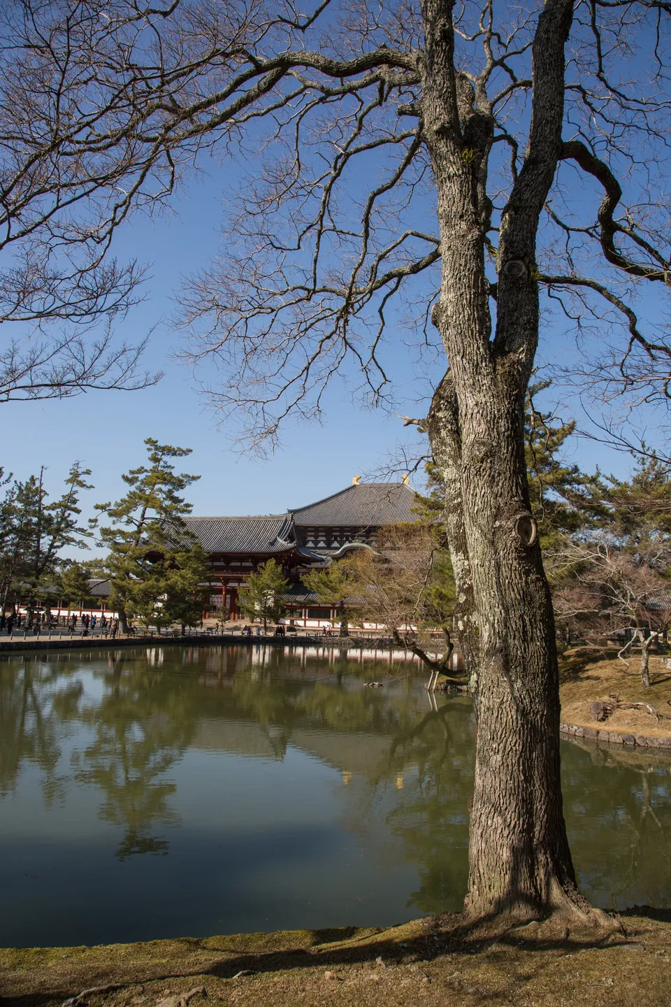 Photo - 東大寺