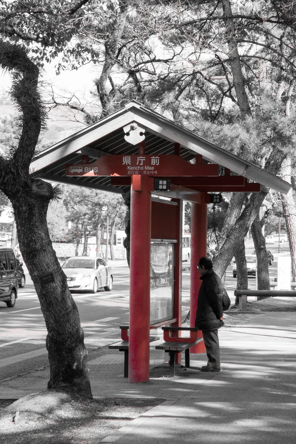 Photo - Bus Stop