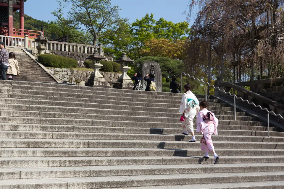 Photo - 6 D 0253