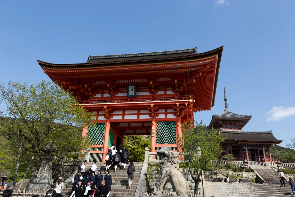 Photo - 6 D 0251