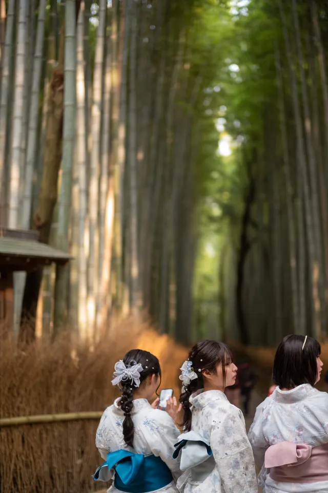 Arashiyama Stroll