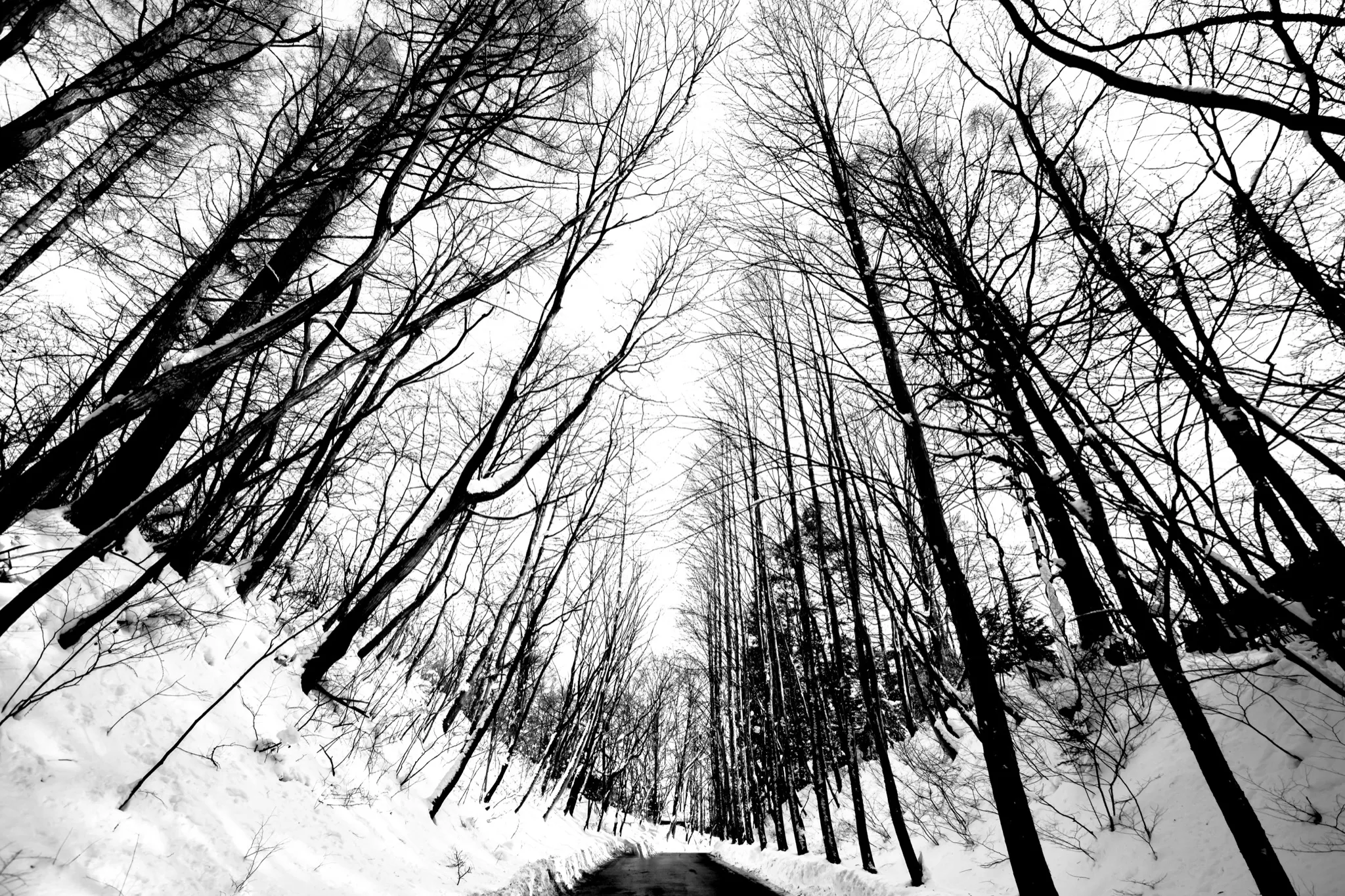 Photo - Sometimes you don't need color