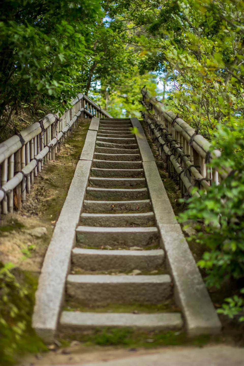Photo - Mini steps