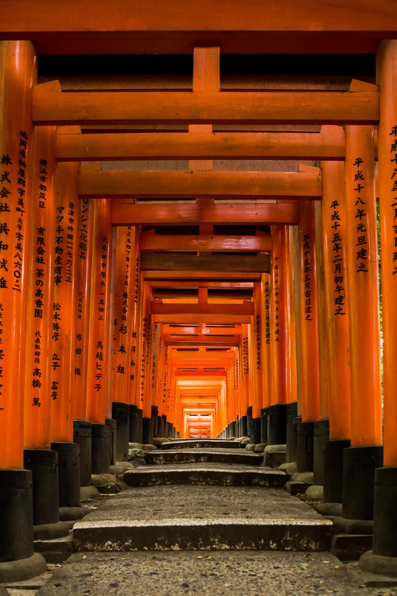 Photo - Fushimi Inari