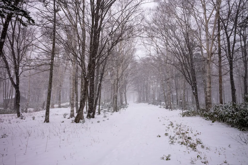 Photo - Attempt to walk to Sahoro Resort Ski Area