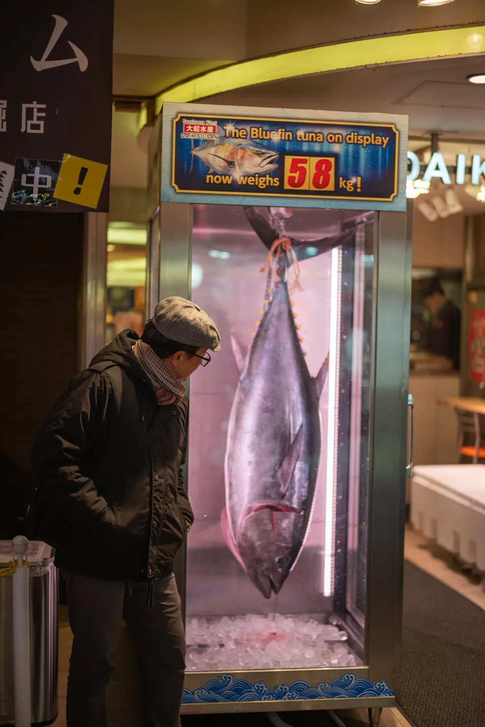 Photo - Bluefin Tuna